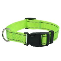 Green nylon dog collar